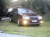 the black beast